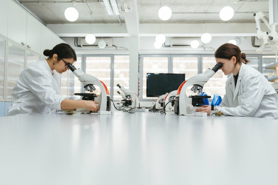 Women working in a laboratory