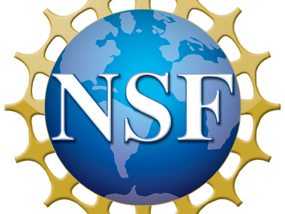 nsf logo