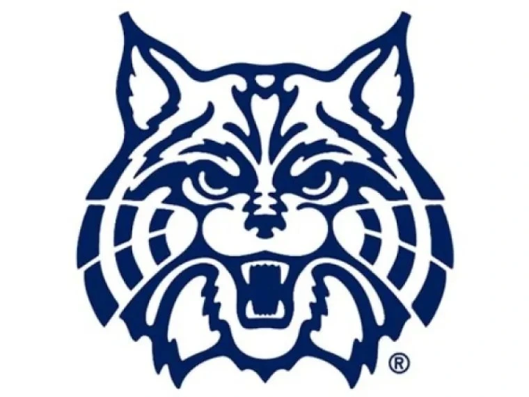 Wildcat
